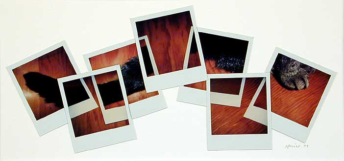 deconstructing the cat