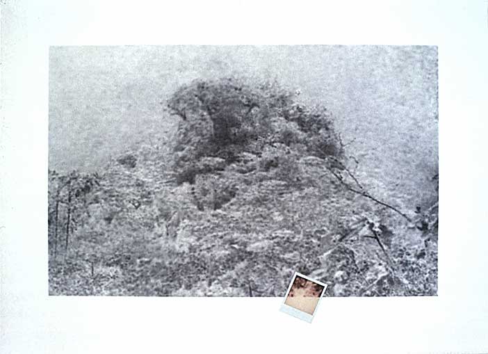 under the spell of maria sabina