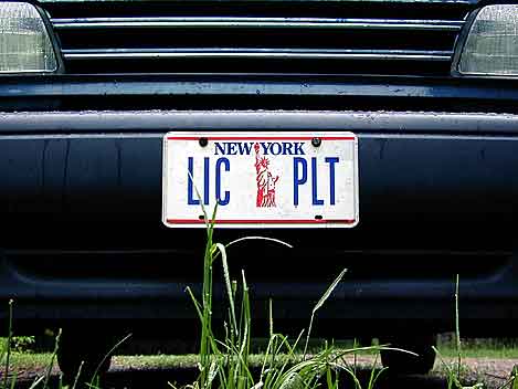 license plate